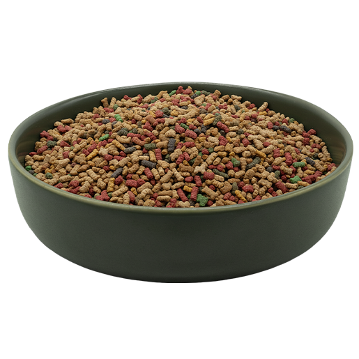 REiCO Hormon Balance+