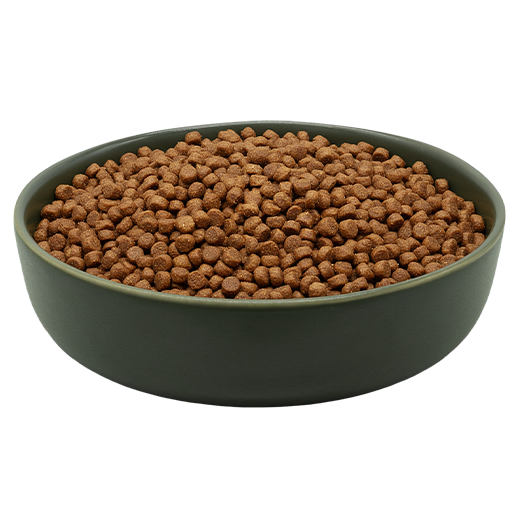 MAXiCAT Premium